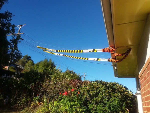 Overhead Power Line Safety Dunedin | Electrical Wire Insulation